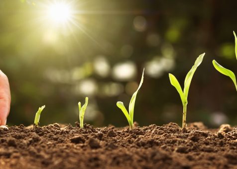 Agriculture & Farming