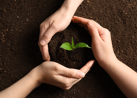 Environmental & Sustainability